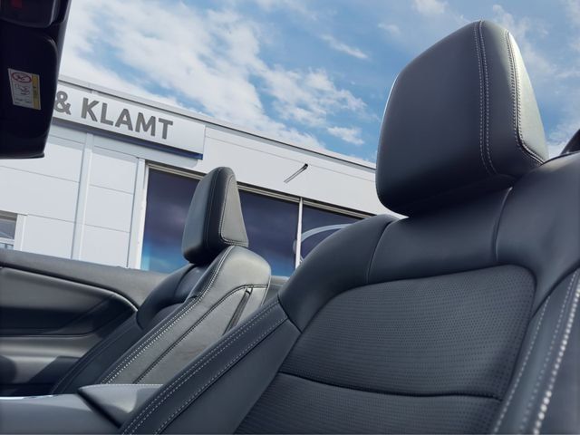 Fahrzeugabbildung Ford Mustang 5.0 V8 GT Convertible