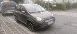 Fiat Panda Hybrid kein Allrad - Fiat Panda: Van