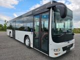 MAN A 78 Lions City LE Euro 6 Klima  / A 21 / 530 - MAN A 21