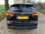 Lexus NX 300  - Lexus NX-Serie Benziner Gebrauchtwagen
