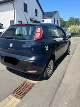 Fiat Punto 1.2 8V Start&Stopp Dynamic Dynamic - Fiat Punto in Wuppertal