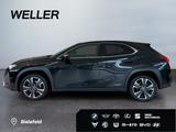 Lexus UX 250h Style Edition *Bi-LED*ACC*CAM*SHZ*CarPla - Lexus UX SUV