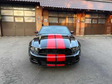 Ford Mustang - 8