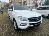 Mercedes-Benz ML 350 BlueEfficiency / PANORAMASD/ KAMERA/ NAVI - Mercedes-Benz ML 350 mit Benzin-Antrieb