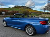 BMW 220i Cabrio M Sport Navi Kurvenlicht Leder