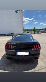Ford Mustang GT 5.0 Grail H-Pipe - Ford Mustang: 5.0