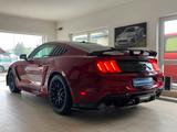 Ford Mustang 5.0 V8 GT Aut. GT500/Shelby Optik Navi X - Ford: Shelby