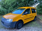 Volkswagen Caddy Kasten// TÜV NEU//SERVICE NEU// - VW Caddy bis 5.000 Euro