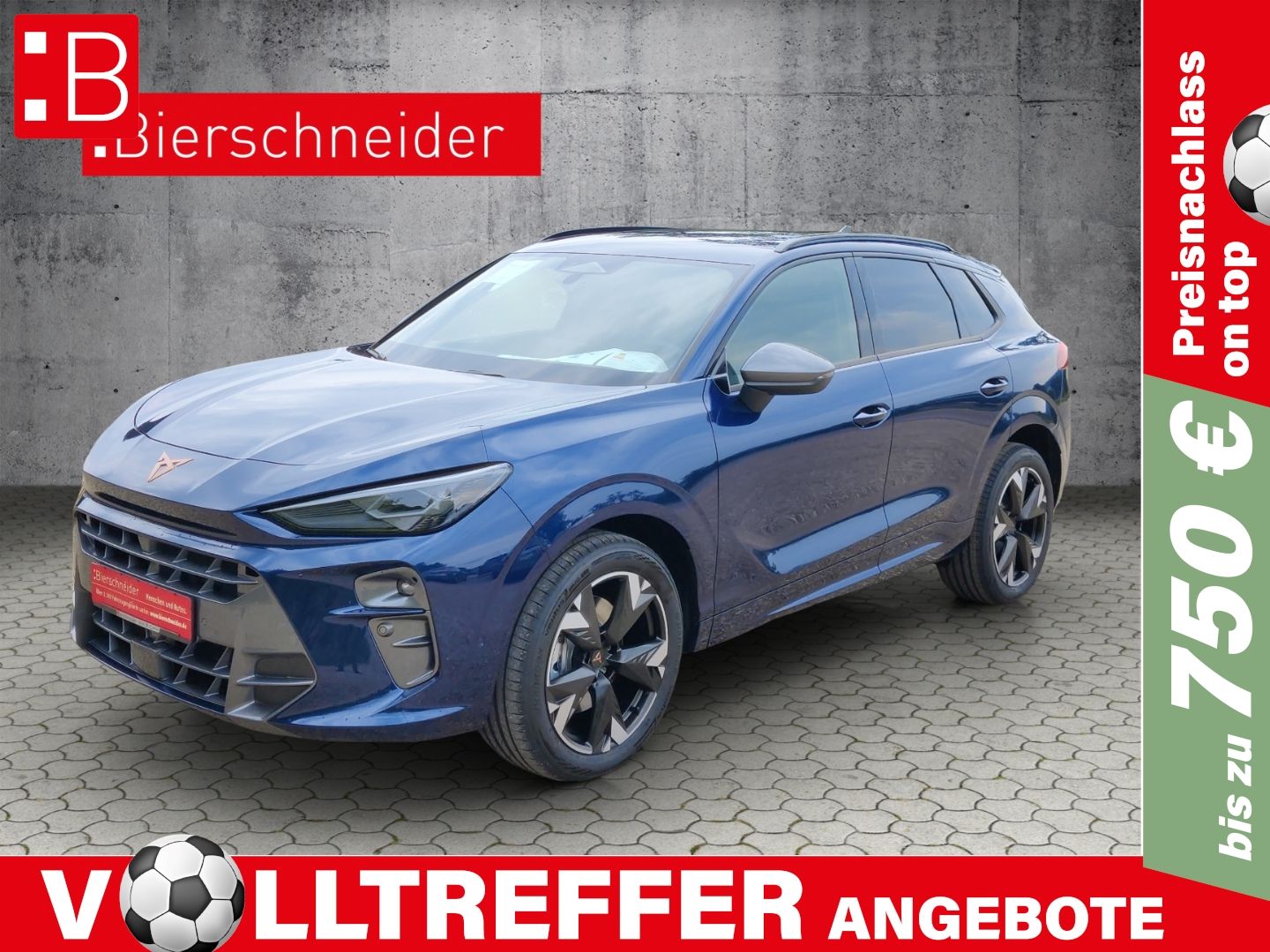CUPRA Terramar 2.0 TSI DSG 4Drive HUD AHK NAVI KAMERA 
