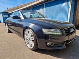 Audi A5 Cabriolet 2.0 TDI +BIXENON/LED+ALCANTARA+ - Audi aus 2010: Cabrio