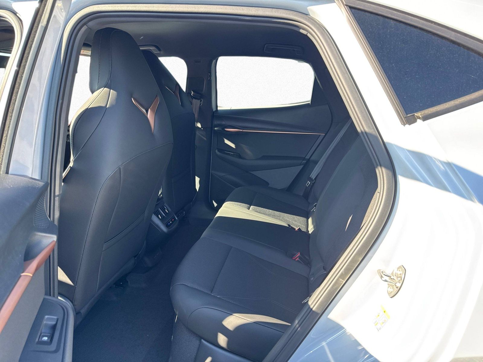 Cupra Tavascan - Bild 12