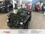 Andere  andere ATV 300 4x4 Tüv 02/2027  Allrad