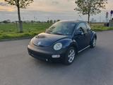 Volkswagen VW Beetle 1,6l, Tüv 12/2026 - Volkswagen Beetle in Bonn