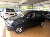 Fiat Panda Easy - Fiat Panda in Gelsenkirchen