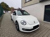 Volkswagen Beetle Lim. Sport TÜV NEU*PANO*S.HEFT VOLL - Volkswagen Beetle in Essen