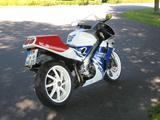 Honda RVF 400  nc 35 - Angebote