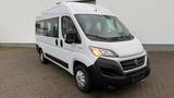 Fiat Ducato Hochr.-Kombi 33 130 L2H2*9-Sitze*Klimaaut - gebrauchte Fiat Ducato aus dem Jahr 2018