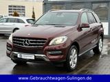 Mercedes-Benz ML 250 CDI BlueTec LEDER NAVI XENON AHK - Mercedes-Benz ML 250 Gebrauchtwagen