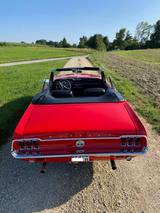 Ford schönes Mustang Cabrio Bj. 1968 - gebrauchte Ford Mustang aus dem Jahr 1968