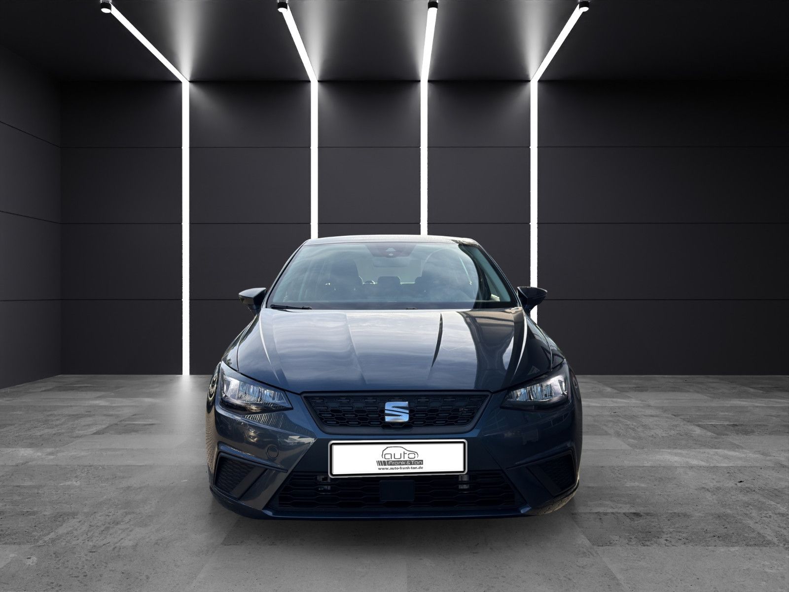 Fahrzeugabbildung SEAT Ibiza Style/Tempomat/Apple CarPlay/LED