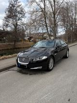 Jaguar XF 2.2 L Diesel - TOP gepflegt - Scheck. - Jaguar aus 2012