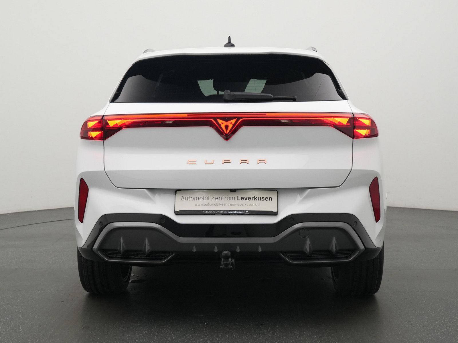 Cupra Terramar - Bild 4