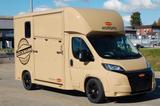 Fiat Böckmann Compact Stall - Angebote