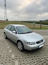 Audi A3 8L 1.9TDI quattro - Audi A3 aus 2002: 1.9