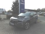 Subaru Forester 2.0 ie Platinum Leder Navi PGSD 360°