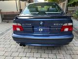 ALPINA B10 V8  - ALPINA: B1