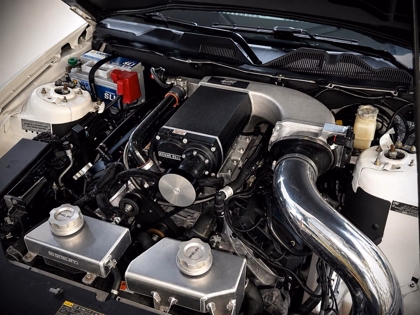 Ford Mustang Shelby American GT 350|624PS|CSM|SAMMLER