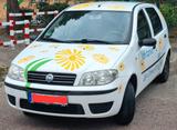 Fiat Punto 1.2 8V Active Clima Active Clima plus GAS - Fiat Punto in Dortmund