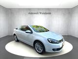 Volkswagen GOLF°VI°CABRIOLET°CUP°SHZ°TEMPOMAT°NAV°PDC°80TKM - Volkswagen Golf: 8