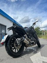 Benelli Leoncino 500 - BENELLI NAKED BIKE