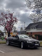 Audi A5 3.0 TDI (DPF) S tronic quattro Cabriolet  - Audi A5 aus 2010