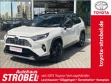 Toyota RAV 4 2.5 4x4 Hybrid Style Selection *Navi/JBL* - Toyota RAV 4: Style Selection