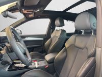 Audi SQ5 - Vorschau Bild 13