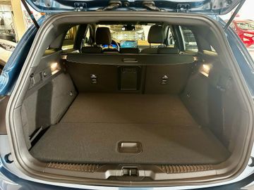 Ford Focus Turnier ST-Line  1,0l 155PS AUTOMATIK