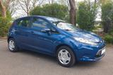 Ford Fiesta 1,25 60kW Trend Trend - Ford Fiesta aus 2009: 1.6