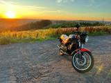 Yamaha RD350 YPVS, 31k - Offers matching your search criteria