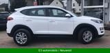 Hyundai Tucson Trend 2WD;SCHECKHEFT;AHK;KAMERA;KURVENL. - Hyundai TUCSON: 2wd