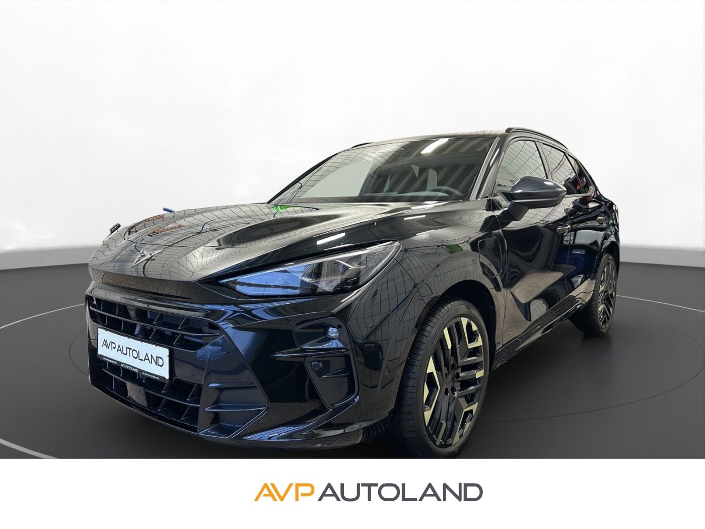 Cupra Terramar - Bild 1