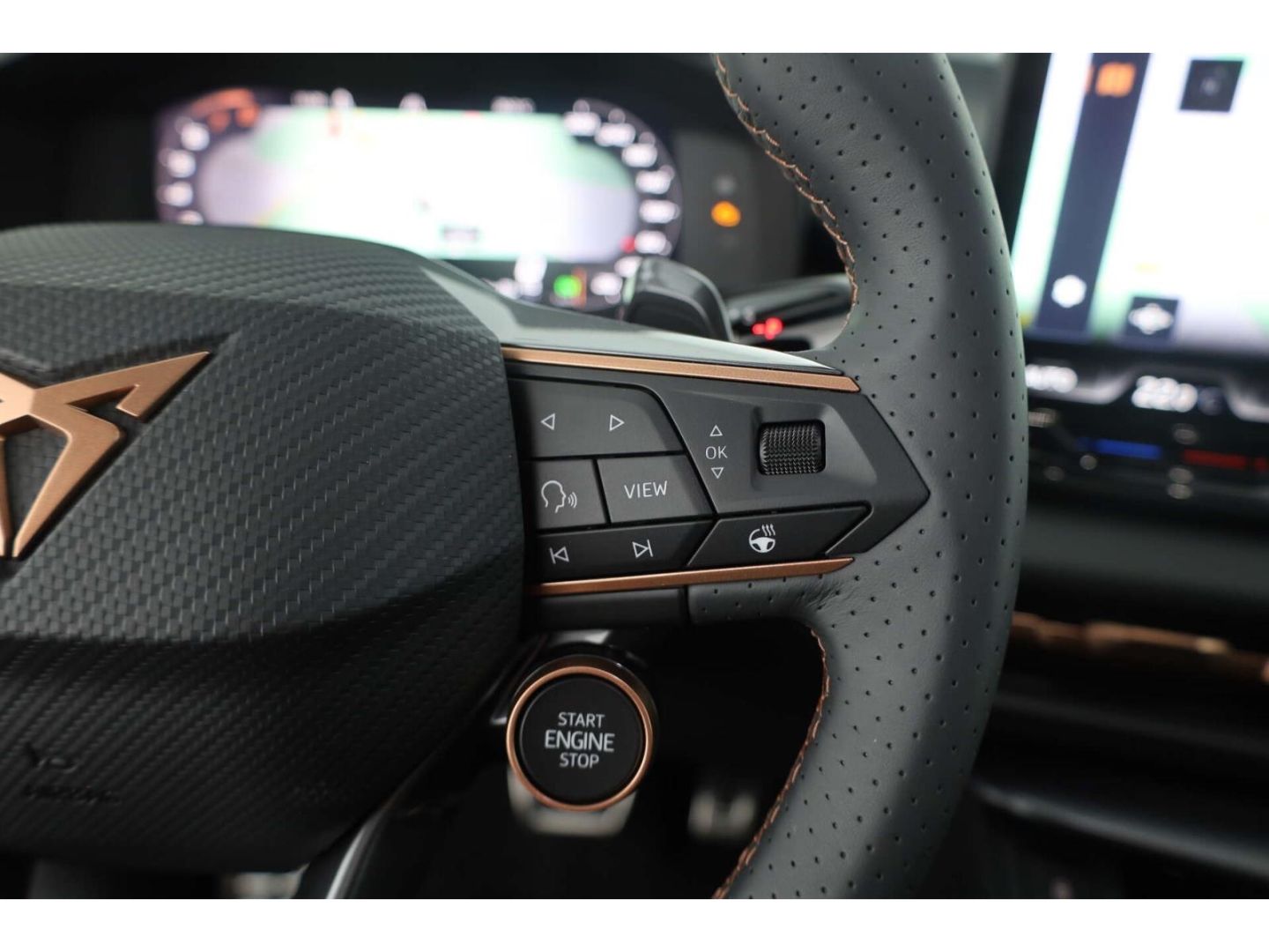 Cupra Terramar - Bild 15