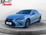 Lexus ES 300h Business Line *SD* LED LEDER - Lexus aus 2023