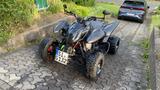 Access Motor Triton 450 | Black Lizzard - QUAD VON 251 BIS 500 CCM