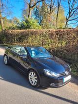 Volkswagen Golf Cabrio 1.4 TSI 160 PS DSG | Leder | Navi |  - Volkswagen Golf: Tsi 160 Ps