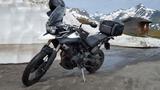 Triumph Tiger 800 XC-ABS "Hexenbesen" - TRIUMPH TIGER 800
