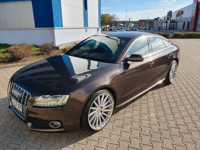 Audi A5 S5 V6 TDI Sportback Audi exclusive S Line