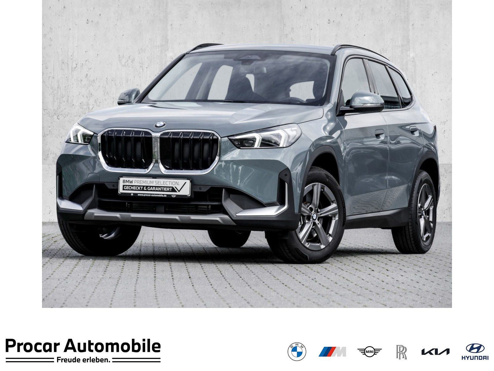 BMW X1 sDrive20i AHK RFK NAVI LED HEAD UP DAB