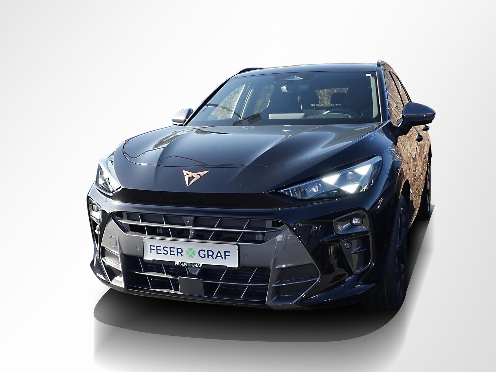 Cupra Terramar - Bild 10